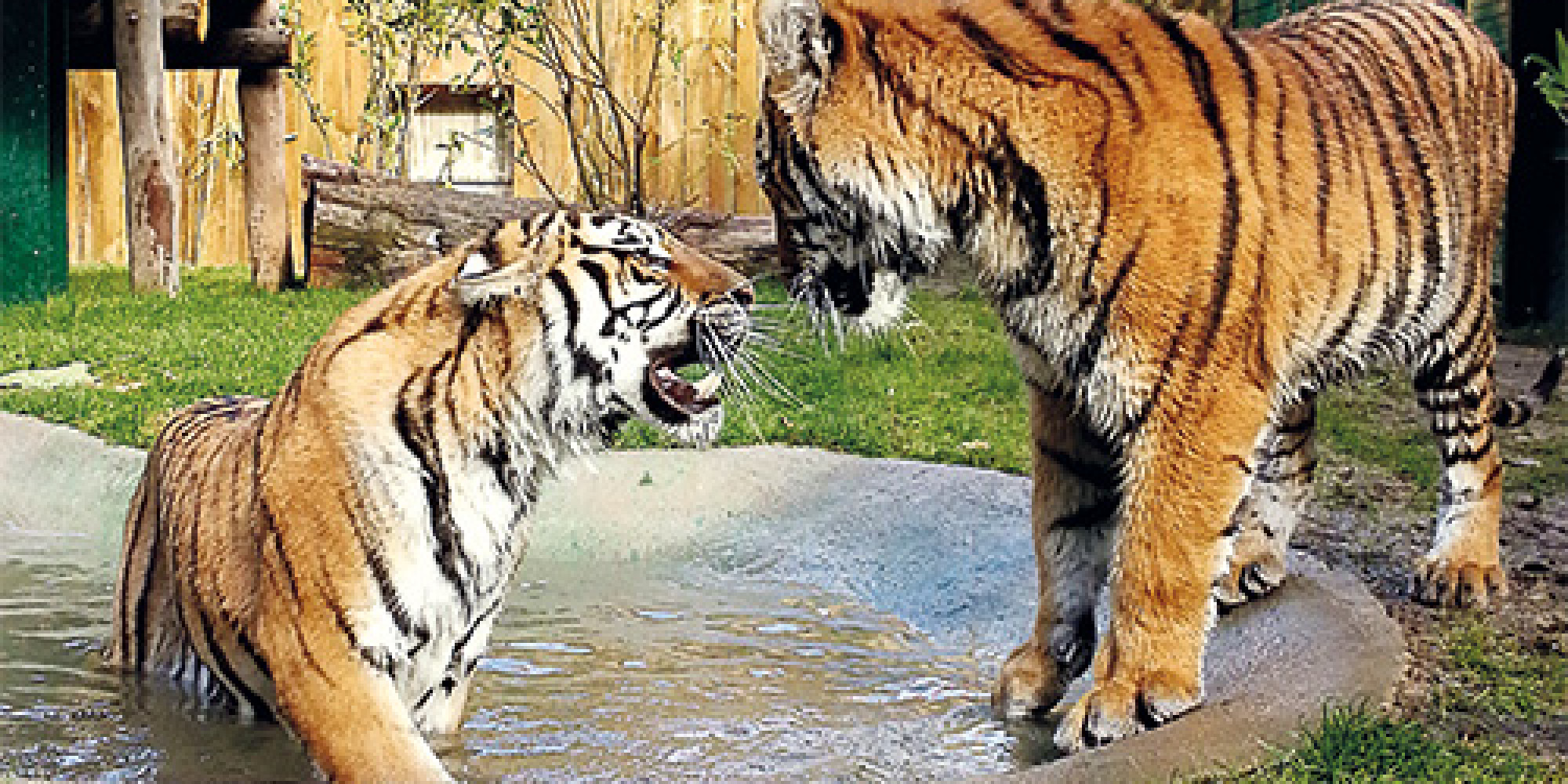 Parc animalier d'Amnéville 