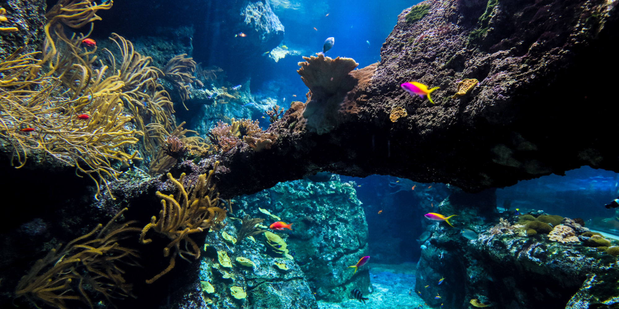 Aquarium De Biarritz 