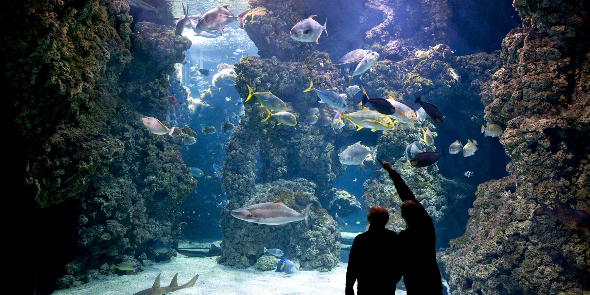 Musée Océanographique De Monaco 