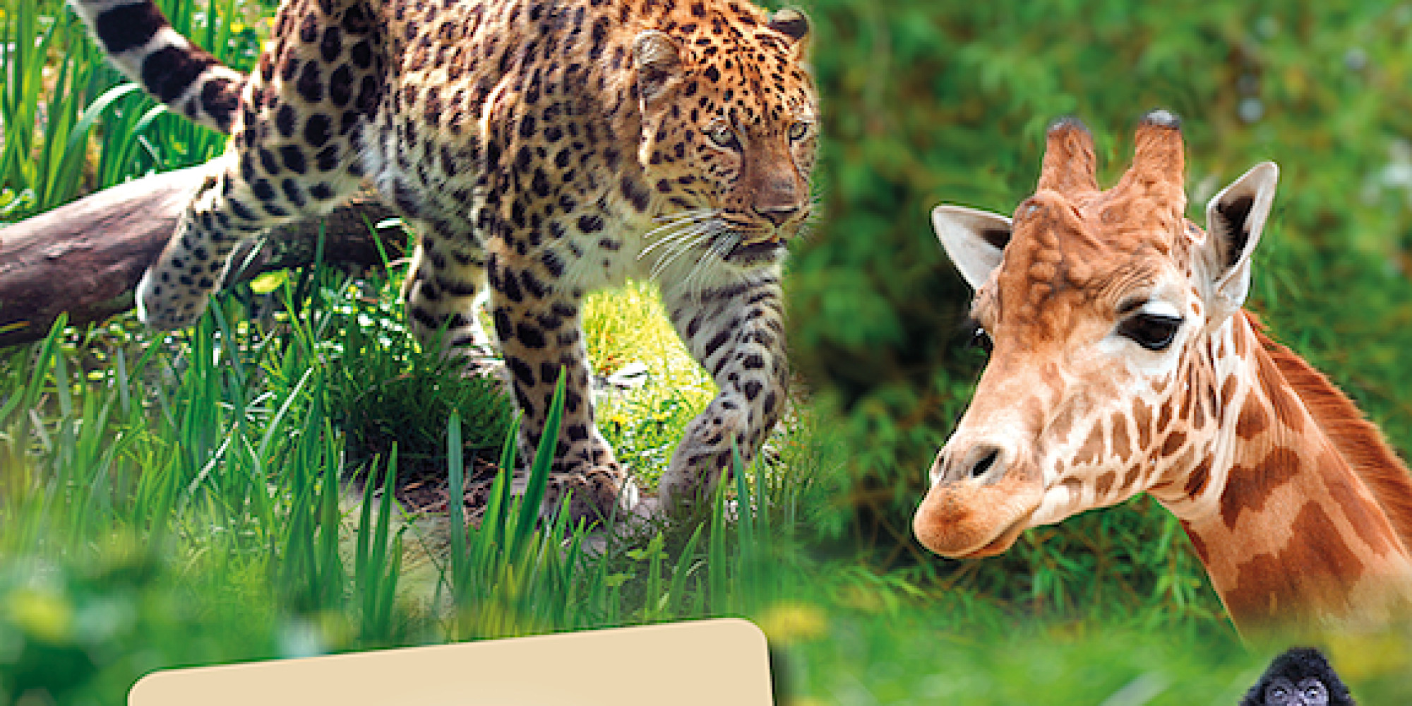 Zoo des Sables d'Olonne 