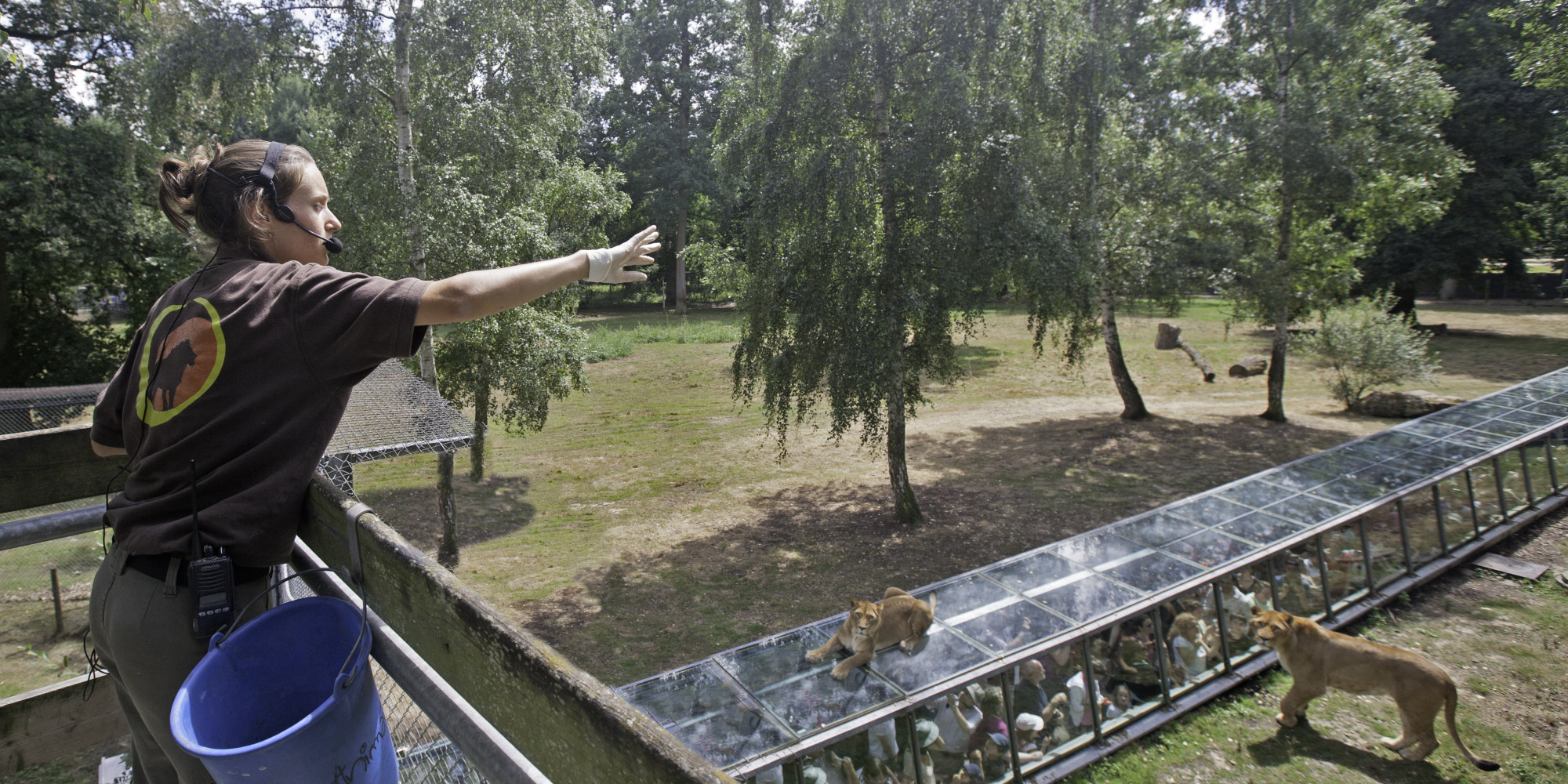 Zoo de Thoiry 