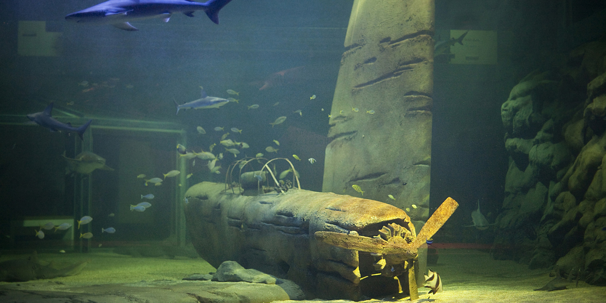 Seaquarium Le Grau du Roi 
