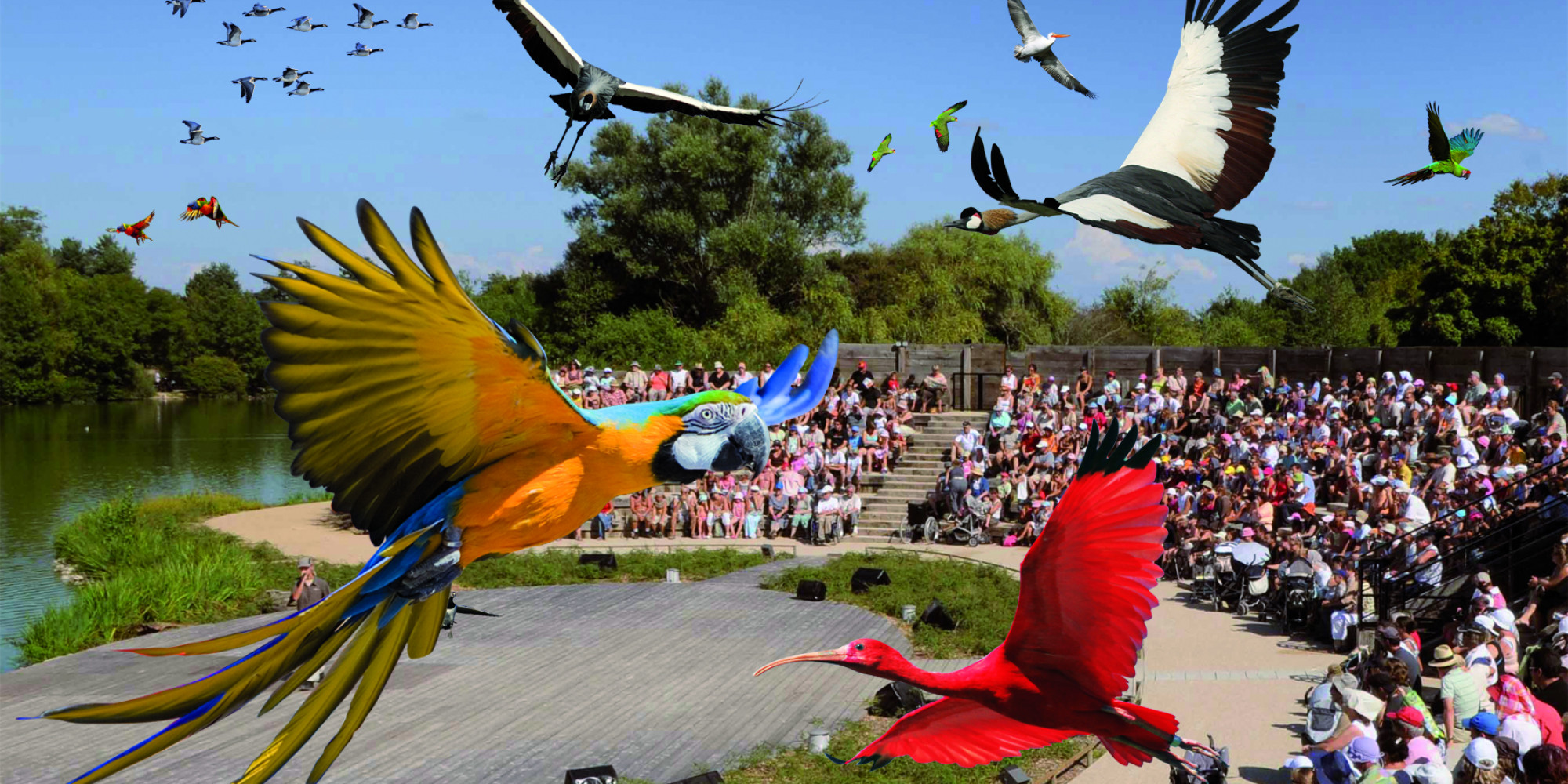 Parc des Oiseaux 