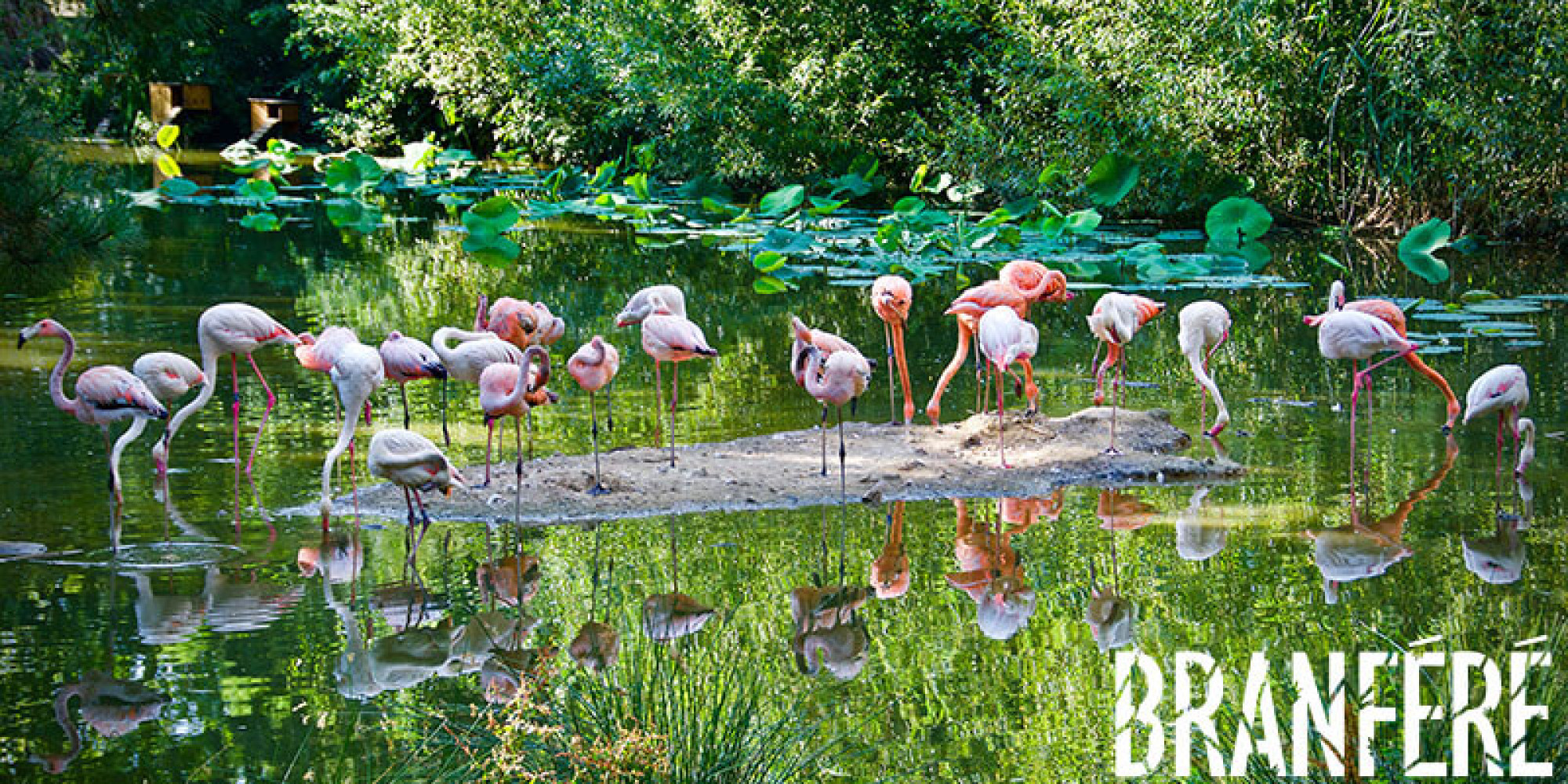 Parc animalier, botanique et parcabout de Branféré 