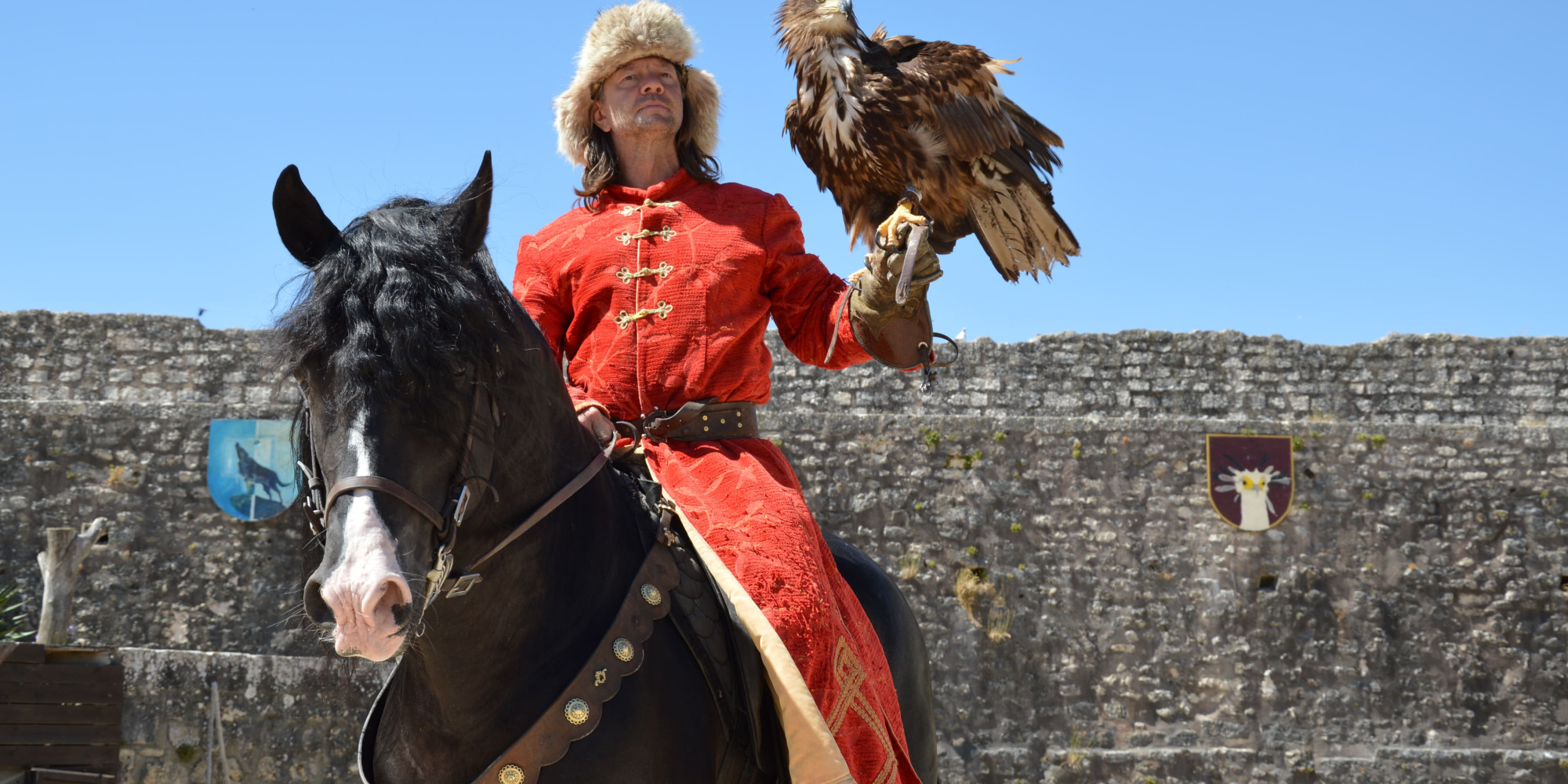 Provins - Les Aigles des Remparts 