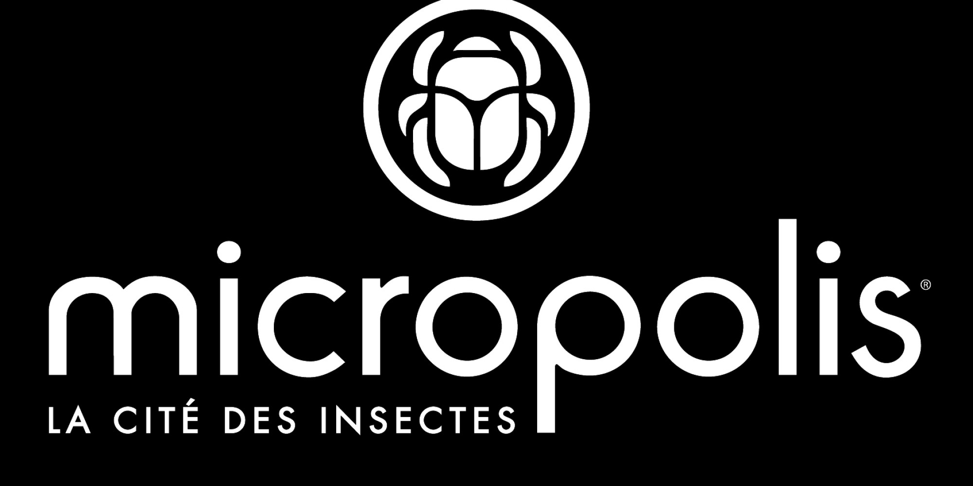 Micropolis 