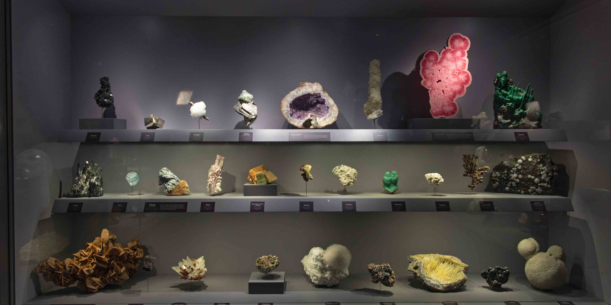 Galerie de minéralogie et de géologie 