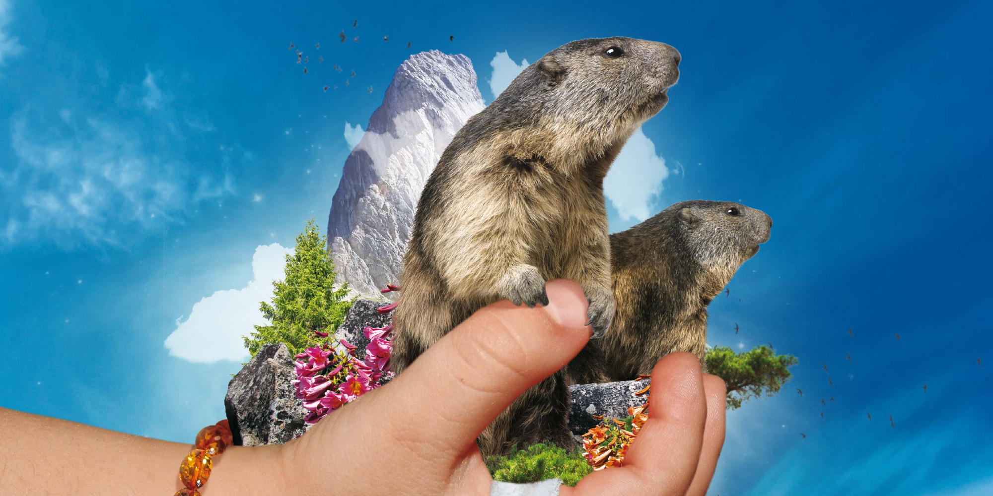 Parc Animalier des Pyrénées 