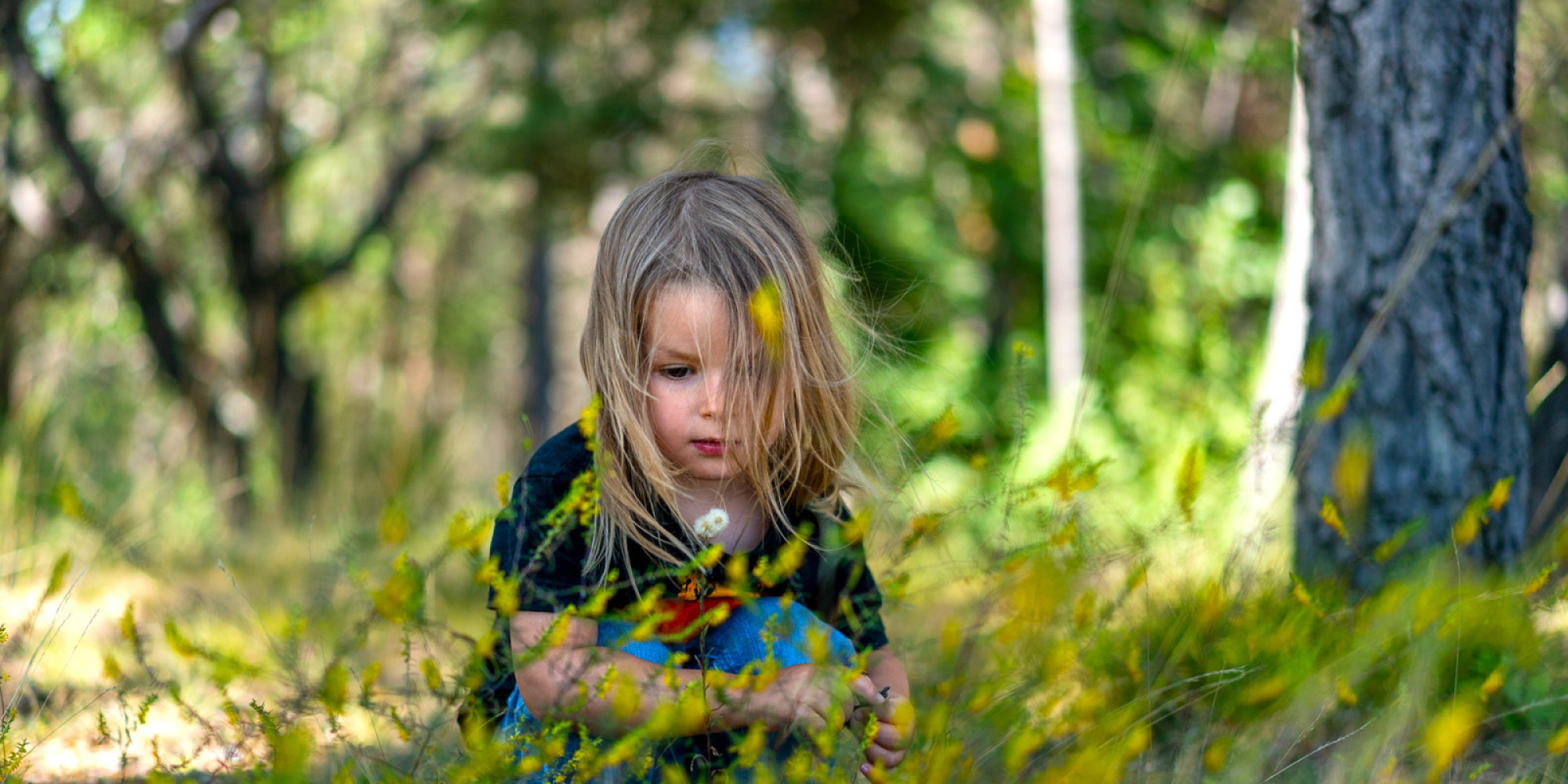 Le printemps est enfin là !