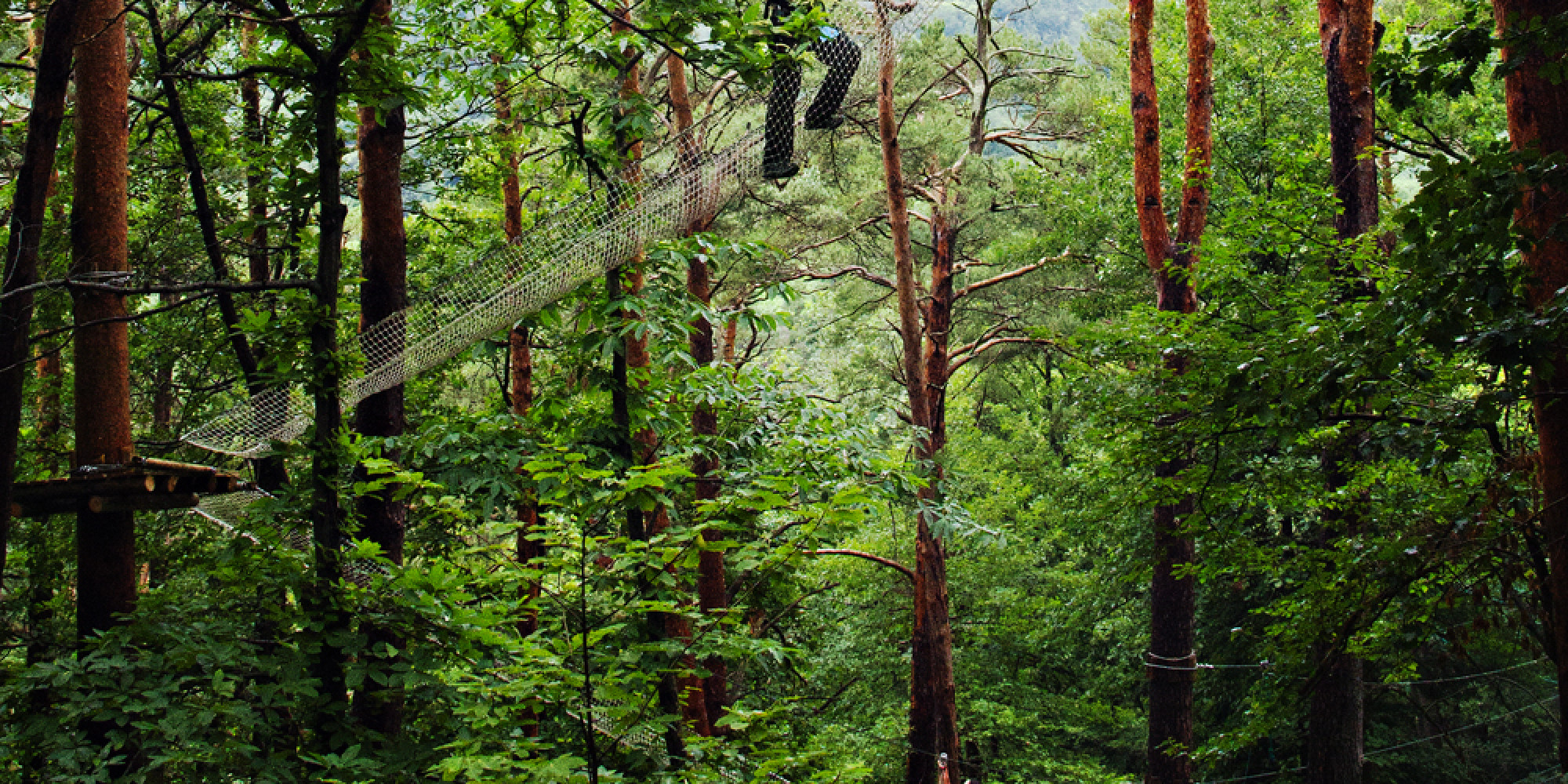 Parc Ecureuil 